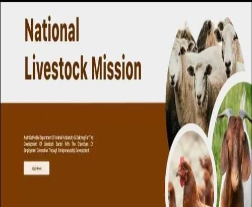 National Livestock Mission