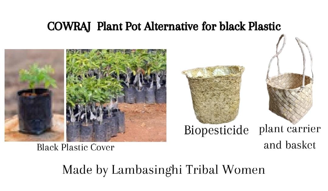 Cowraj plant pot alternative for black plastic